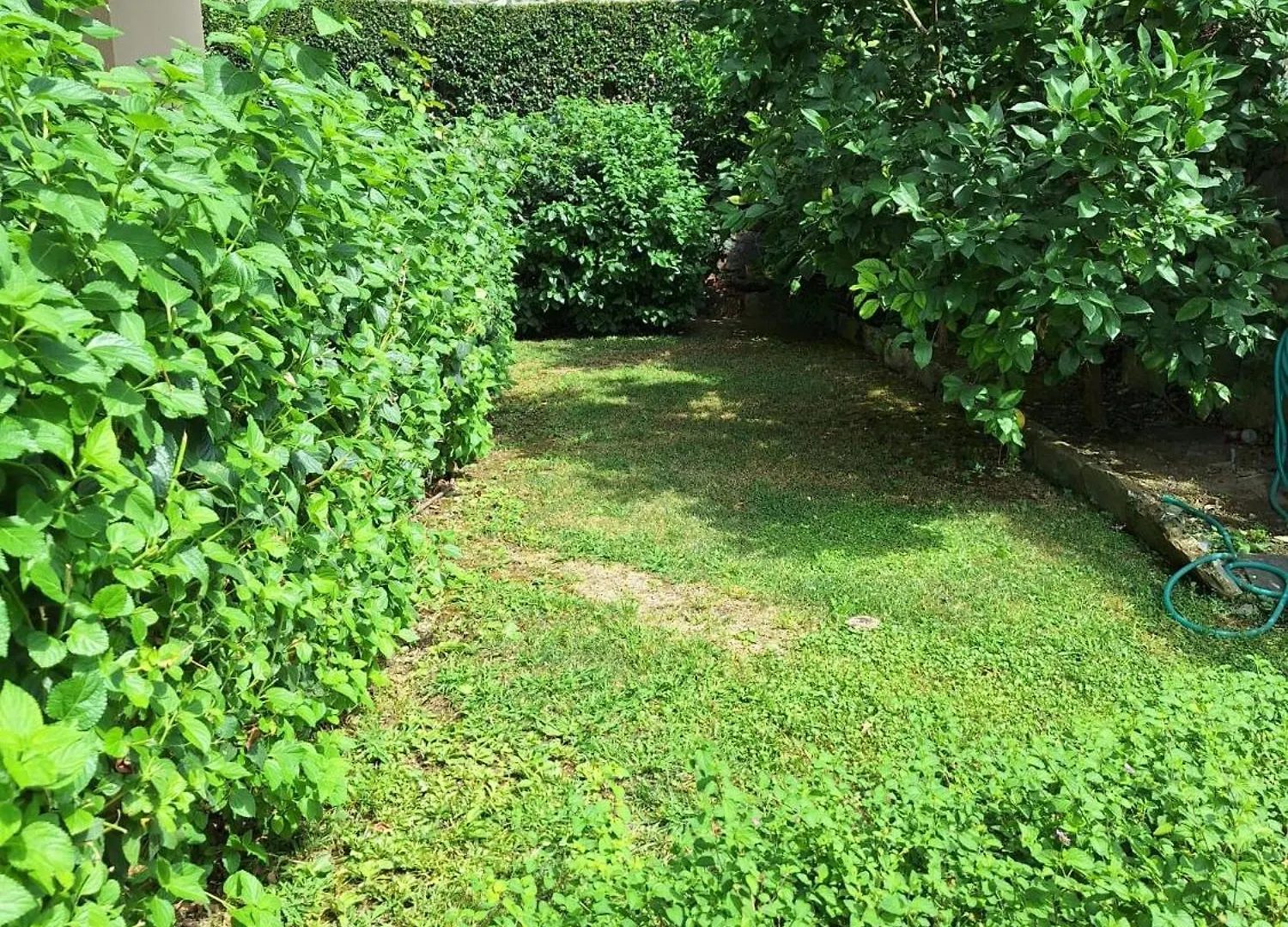 Casa Angelo Apartment Recco