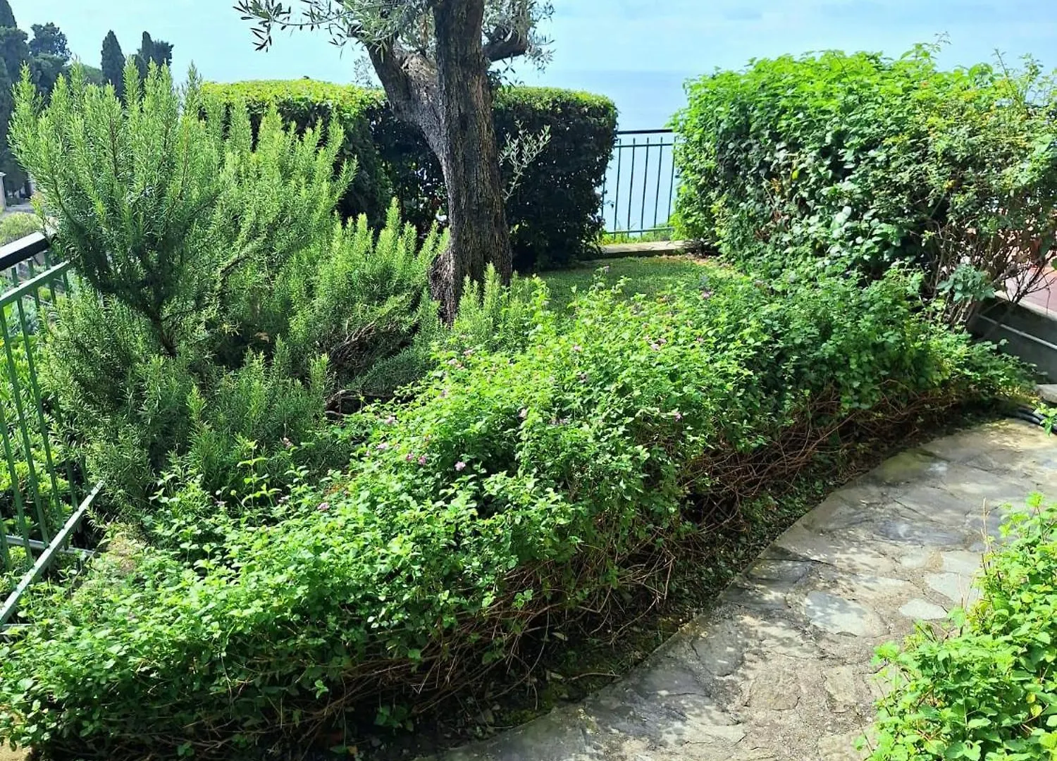 Casa Angelo Apartment Recco Italy